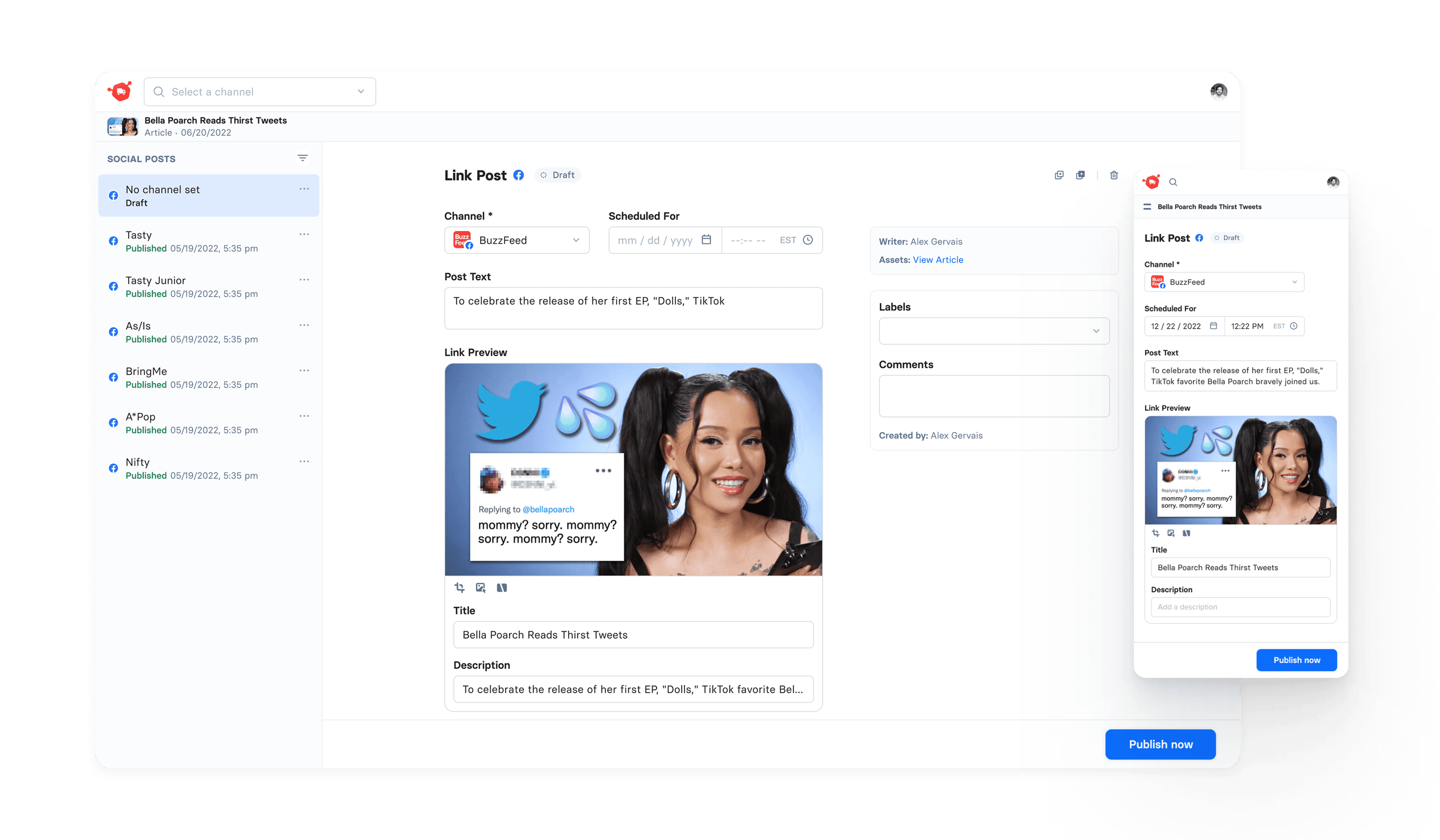 AI Social Publishing Tools — main interface